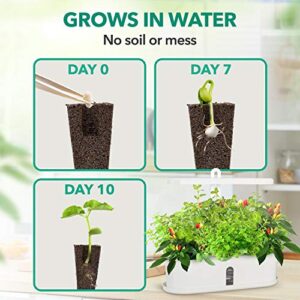 DR GOODROW Hydroponics Growing System - 10 Pods Indoor Herb Garden with Grow Light | Indoor Grow Kit for Growing Herbs, Plants & Vegetables | Soil-Free Smart Garden | LED Hydroponic Garden Plant Kit