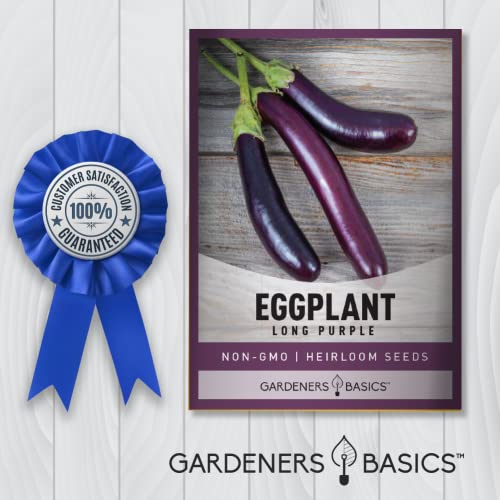 Eggplant Seeds for Planting - (Long Purple) is A Great Heirloom, Non-GMO Vegetable Variety- 500 mg Seeds Great for Outdoor Spring, Winter and Fall Gardening by Gardeners Basics