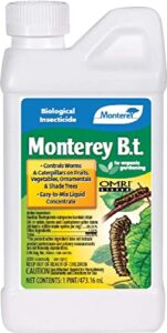 monterey p-monterey b.t. concentrate 16 ounce
