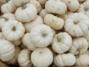 white pumpkin seeds “white queen” – 8 to 10” pure white pumpkin for display, painting, or carving | usa grown heirloom seeds by liliana’s garden |