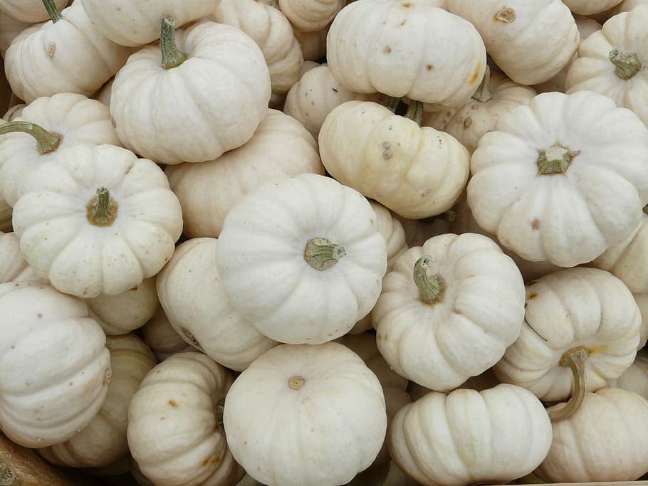 White Pumpkin Seeds “White Queen” - 8 to 10” Pure White Pumpkin for Display, Painting, or Carving | USA Grown Heirloom Seeds by Liliana's Garden |