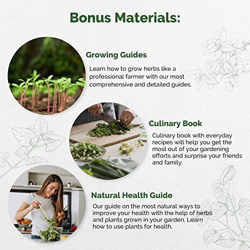 18 Culinary Herbs Seeds Variety Pack - Heirloom, NON-GMO, Herbs Seeds for Planting Outdoor and Indoor - Home Gardening. Over 5000+ seeds including Rosemary, Thyme, Oregano, Mint, Basil, Parsley & More