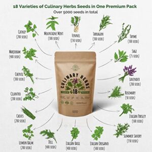 18 Culinary Herbs Seeds Variety Pack - Heirloom, NON-GMO, Herbs Seeds for Planting Outdoor and Indoor - Home Gardening. Over 5000+ seeds including Rosemary, Thyme, Oregano, Mint, Basil, Parsley & More