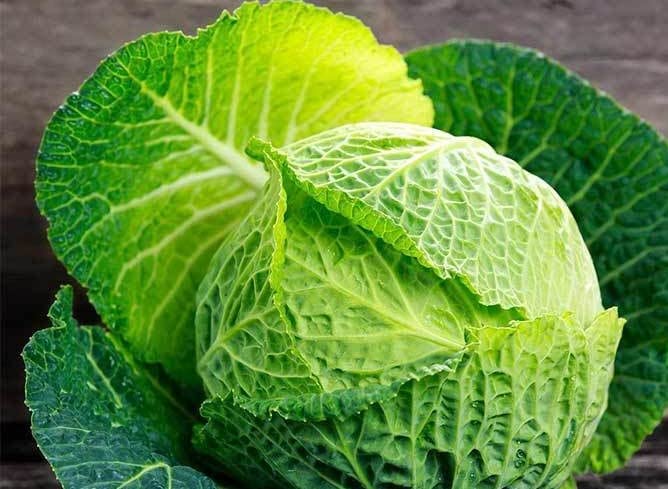 David's Garden Seeds Cabbage Savoy Perfection FBA-9924 (Green) 50 Non-GMO, Heirloom Seeds