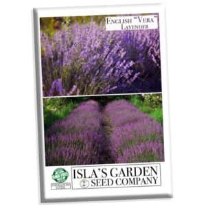 english “vera” lavender seeds for planting, 1000+ seeds per packet, (isla’s garden seeds), non gmo & heirloom seeds, botanical name: lavandula angustifolia, great herb garden gift