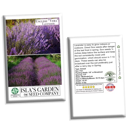 English "Vera" Lavender Seeds for Planting, 1000+ Seeds Per Packet, (Isla's Garden Seeds), Non GMO & Heirloom Seeds, Botanical Name: Lavandula angustifolia, Great Herb Garden Gift