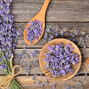 English "Vera" Lavender Seeds for Planting, 1000+ Seeds Per Packet, (Isla's Garden Seeds), Non GMO & Heirloom Seeds, Botanical Name: Lavandula angustifolia, Great Herb Garden Gift