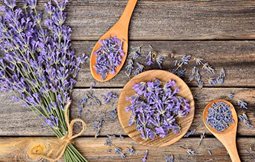 English "Vera" Lavender Seeds for Planting, 1000+ Seeds Per Packet, (Isla's Garden Seeds), Non GMO & Heirloom Seeds, Botanical Name: Lavandula angustifolia, Great Herb Garden Gift