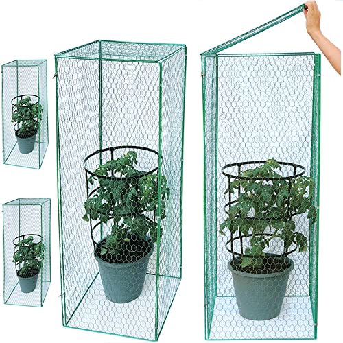 Heidi Tomato Plant Cover Rats Proof Protectors from Animals Squirrels for Garden Metal Tomato Cage to Keep Animal Out Pepper Protection Cover for Rabbits