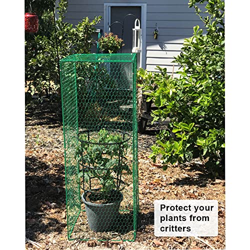 Heidi Tomato Plant Cover Rats Proof Protectors from Animals Squirrels for Garden Metal Tomato Cage to Keep Animal Out Pepper Protection Cover for Rabbits