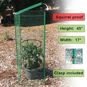 Heidi Tomato Plant Cover Rats Proof Protectors from Animals Squirrels for Garden Metal Tomato Cage to Keep Animal Out Pepper Protection Cover for Rabbits