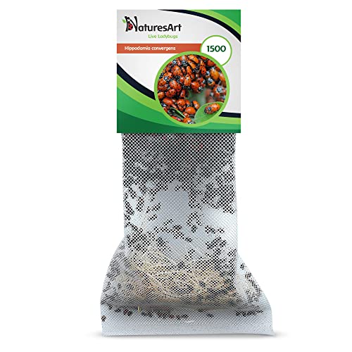 1500 Live Ladybugs - Good Bugs for Garden - Ladybug for Greenhouse - Guaranteed Live