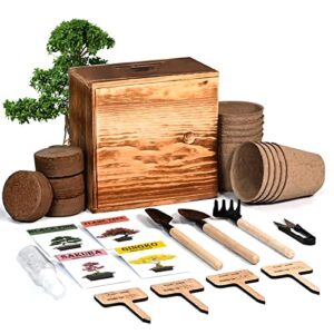 bonsai tree kit, 4 bonsai tree seeds with complete growing kit & wooden planter box, indoor bonsai tree starter kit, great potted plants growing diy gift for adults
