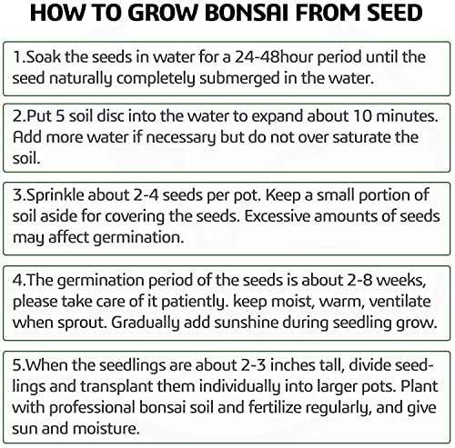 Bonsai Tree Kit, 4 Bonsai Tree Seeds with Complete Growing Kit & Wooden Planter Box, Indoor Bonsai Tree Starter Kit, Great Potted Plants Growing DIY Gift for Adults