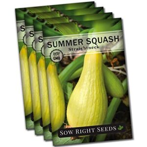 sow right seeds – straight neck yellow summer squash seed for planting – non-gmo heirloom packet with instructions to plant a home vegetable garden – great gardening gift (4)