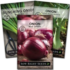 sow right seeds – onion seed collection for planting – yellow sweet spanish, red creolo, and japanese bunching onion – non-gmo heirloom packets with instructions to plant a home vegetable garden