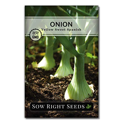 Sow Right Seeds - Onion Seed Collection for Planting - Yellow Sweet Spanish, Red Creolo, and Japanese Bunching Onion - Non-GMO Heirloom Packets with Instructions to Plant a Home Vegetable Garden