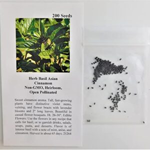 David's Garden Seeds Herb Basil Asian Cinnamon 8475 (Violet) 200 Non-GMO, Heirloom Seeds