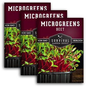 survival garden seeds beet microgreens for sprouting and growing – 3 packs – sprout green leafy micro vegetable plants indoors – grow a mini windowsill garden – non-gmo heirloom variety