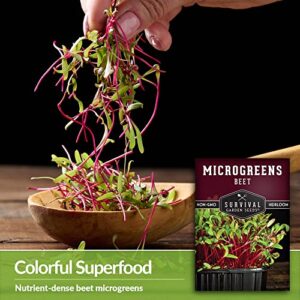 Survival Garden Seeds Beet Microgreens for Sprouting and Growing - 3 Packs - Sprout Green Leafy Micro Vegetable Plants Indoors - Grow A Mini Windowsill Garden - Non-GMO Heirloom Variety