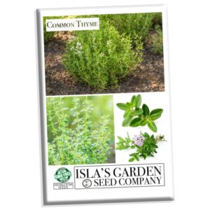 common thyme seeds for planting, 1000+ seeds per packet, (isla’s garden seeds), non gmo & heirloom seeds, botanical name: thymus vulgaris, great herb garden seeds