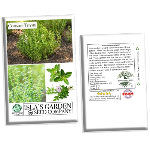 Common Thyme Seeds for Planting, 1000+ Seeds Per Packet, (Isla's Garden Seeds), Non GMO & Heirloom Seeds, Botanical Name: Thymus vulgaris, Great Herb Garden Seeds