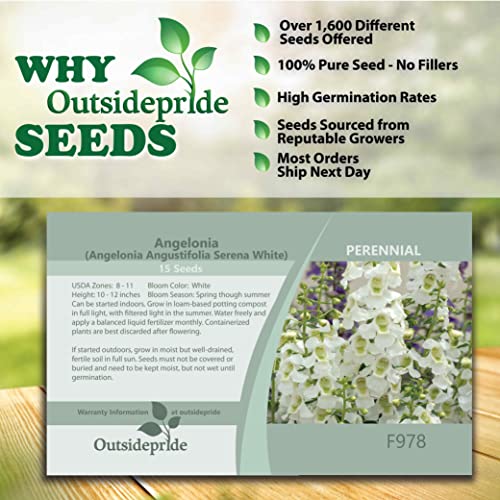 Outsidepride Angelonia Serena White Summer Snapdragon Garden Flower Seed - 15 Seeds