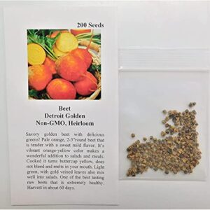 David's Garden Seeds Beet Detroit Golden FBA-00042 (Gold) 200 Non-GMO, Heirloom Seeds