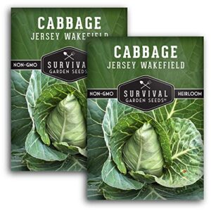 survival garden seeds – jersey wakefield cabbage seed for planting – 2 packs with instructions to plant and grow cone-shaped green cabbages in your home vegetable garden – non-gmo heirloom variety