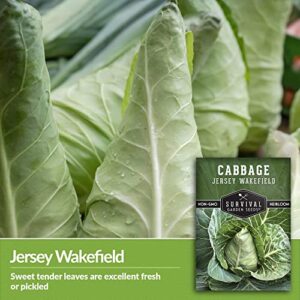 Survival Garden Seeds - Jersey Wakefield Cabbage Seed for Planting - 2 Packs with Instructions to Plant and Grow Cone-Shaped Green Cabbages in Your Home Vegetable Garden - Non-GMO Heirloom Variety