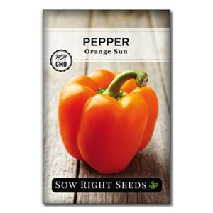 Sow Right Seeds - Orange Sun Pepper Seeds for Planting - Non-GMO Heirloom Packet with Instructions to Plant and Grow an Outdoor Home Vegetable Garden - Sweet Bell Pepper - Great Gardening Gift
