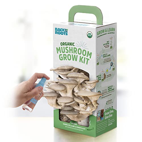 Back to the Roots Organic Mushroom Grow Kit - Oyster and Pink Mushroom 2-Pack Variety - Indoor Non-GMO Growing Kit - Produces 3-4 Servings and Grows in 10 Days