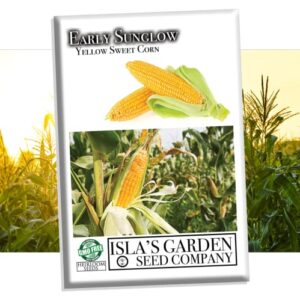 early sunglow sweet yellow corn seeds for planting, 50+ seeds per packet, (isla’s garden seeds), non gmo seeds, botanical name: zea mays, delicious corn variety, great home garden gift