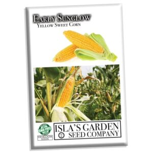 Early Sunglow Sweet Yellow Corn Seeds for Planting, 50+ Seeds Per Packet, (Isla's Garden Seeds), Non GMO Seeds, Botanical Name: Zea mays, Delicious Corn Variety, Great Home Garden Gift