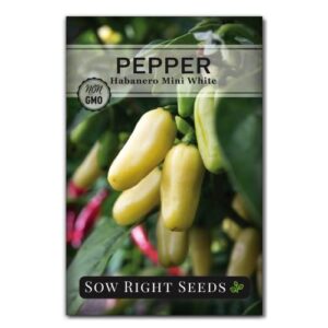 Sow Right Seeds - Habanero White Mini Pepper Seeds for Planting - Non-GMO Heirloom Packet with Instructions to Plant and Grow a Home Vegetable Garden - Vigorous Hot Peppers - Great Gardening Gift