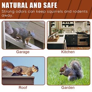 SEEKBIT 4 Pack Squirrel Repellent, Mice Rats Squirrel Deterrent Drive Away from Car Engines, Under Hood, Vehicle, Rodent Repellent for Garden, Yard, Outdoor, Attic Squirrels Off Plants Trees Garage