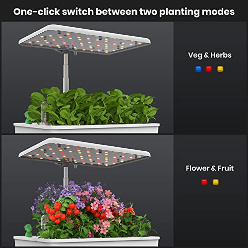 Hydroponics Growing System, 12 Pods Indoor Garden with 10.0L Aquarium System, Grow Light, Drainage System, Automatic Timer, Hydroponic Herb Garden kit Including 70 Packs Accessories