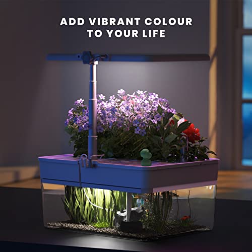 Hydroponics Growing System, 12 Pods Indoor Garden with 10.0L Aquarium System, Grow Light, Drainage System, Automatic Timer, Hydroponic Herb Garden kit Including 70 Packs Accessories