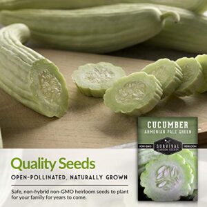Survival Garden Seeds - Armenian Pale Green Cucumber Seed for Planting - Packet with Instructions to Plant and Grow Long Burpless Cucumbers in Your Home Vegetable Garden - Non-GMO Heirloom Variety