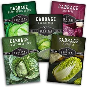 survival garden seeds cabbage collection seed vault – 5 non-gmo heirloom varieties – red acre, golden acres, jersey wakefield, early round dutch & michihili (napa) – plant & grow your own vegetables