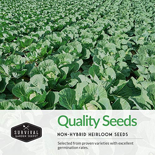 Survival Garden Seeds Cabbage Collection Seed Vault - 5 Non-GMO Heirloom Varieties - Red Acre, Golden Acres, Jersey Wakefield, Early Round Dutch & Michihili (Napa) - Plant & Grow Your Own Vegetables