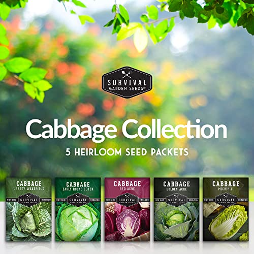 Survival Garden Seeds Cabbage Collection Seed Vault - 5 Non-GMO Heirloom Varieties - Red Acre, Golden Acres, Jersey Wakefield, Early Round Dutch & Michihili (Napa) - Plant & Grow Your Own Vegetables