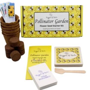 Nuggets of Nectar Pollinator Garden Flower Seed Starter Kit - Grow 6 Types of Wildflower Seeds Including Cosmos, Calendula, Bee Balm, Bachelor Button, Calliopsis and Black Eyed Susan Seeds