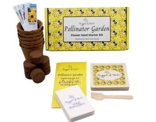 Nuggets of Nectar Pollinator Garden Flower Seed Starter Kit - Grow 6 Types of Wildflower Seeds Including Cosmos, Calendula, Bee Balm, Bachelor Button, Calliopsis and Black Eyed Susan Seeds