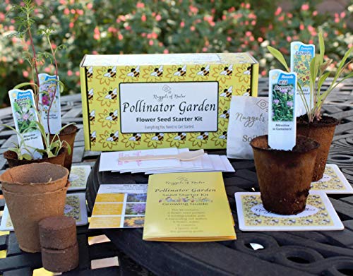 Nuggets of Nectar Pollinator Garden Flower Seed Starter Kit - Grow 6 Types of Wildflower Seeds Including Cosmos, Calendula, Bee Balm, Bachelor Button, Calliopsis and Black Eyed Susan Seeds