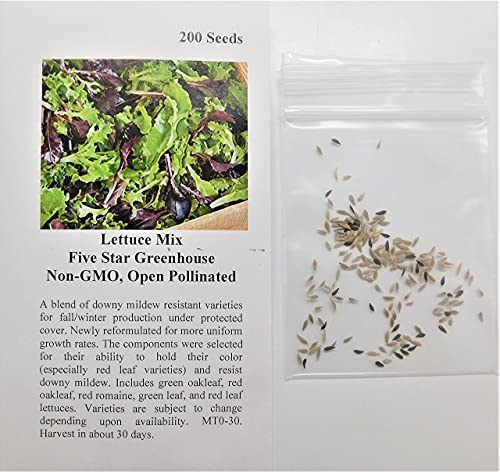 David's Garden Seeds Lettuce Mix Five Star Greenhouse 1934 (Multi) 200 Non-GMO, Open Pollinated Seeds