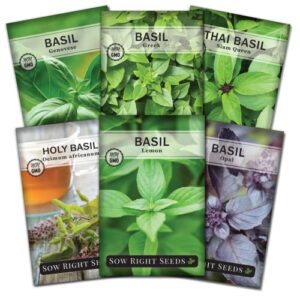 sow right seeds – basil seed collection for planting – genovese sweet, greek, opal, thai, holy and lemon basil – non-gmo heirloom seeds – instructions to plant an herb garden indoors or outdoors