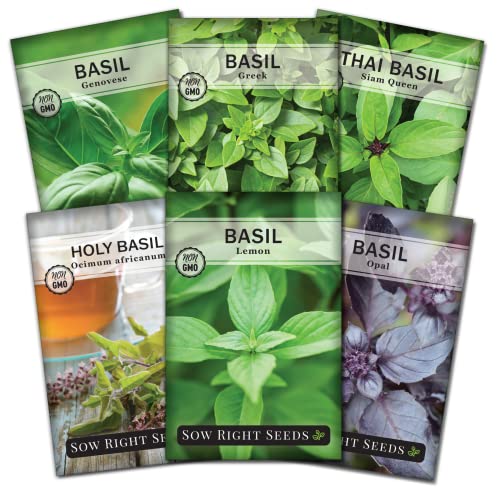 Sow Right Seeds - Basil Seed Collection for Planting - Genovese Sweet, Greek, Opal, Thai, Holy and Lemon Basil - Non-GMO Heirloom Seeds - Instructions to Plant an Herb Garden Indoors or Outdoors