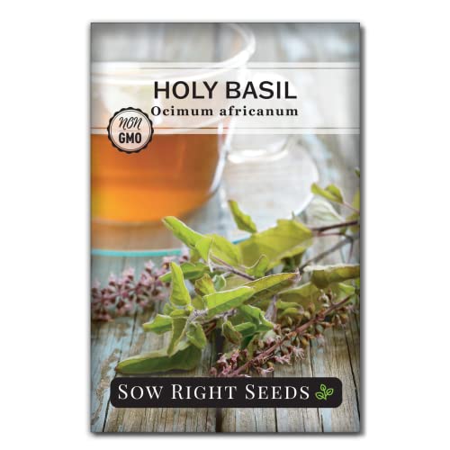 Sow Right Seeds - Basil Seed Collection for Planting - Genovese Sweet, Greek, Opal, Thai, Holy and Lemon Basil - Non-GMO Heirloom Seeds - Instructions to Plant an Herb Garden Indoors or Outdoors