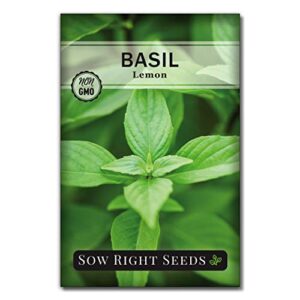 Sow Right Seeds - Basil Seed Collection for Planting - Genovese Sweet, Greek, Opal, Thai, Holy and Lemon Basil - Non-GMO Heirloom Seeds - Instructions to Plant an Herb Garden Indoors or Outdoors